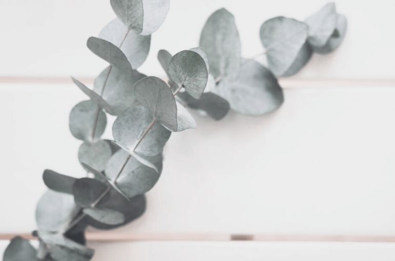minimalismo